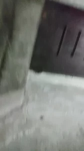 安徽无套内射漂亮小姐姐，小姐姐叫声太骚了！