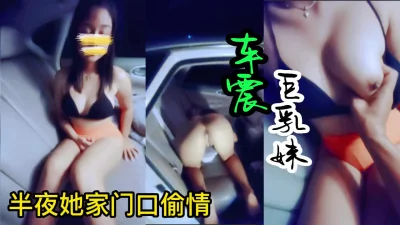 [原创] 后半夜跳墙出来车震的巨乳妹子