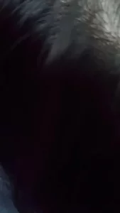 新人多关照 和朋友的老婆车震 好东西看简件